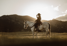 What to Wear to a Rodeo? The Guide You Need to Read what to wear to a rodeo